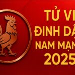 tử vi tuổi Đinh dậu 2017 nam mạng năm 2025 nội tâm mạnh mẽ nhưng dễ bướng – cần phong thủy hỗ trợ ổn định tính khí