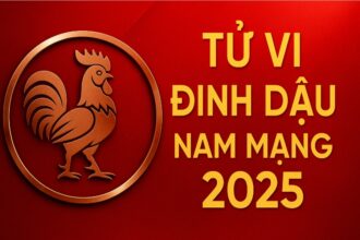 tử vi tuổi Đinh dậu 2017 nam mạng năm 2025 nội tâm mạnh mẽ nhưng dễ bướng – cần phong thủy hỗ trợ ổn định tính khí