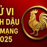 tử vi tuổi Đinh dậu 2017 nữ mạng năm 2025 cảm xúc mong manh – học hành dao động – phong thủy giúp trẻ ổn định