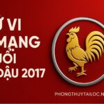 tử vi tuổi Đinh dậu 2017 nữ mạng năm 2025 giai đoạn hình thành cá tính – cần phong thủy giúp bé ngoan ngoãn, học giỏi, vượng tài