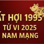 tử vi tuổi hợi