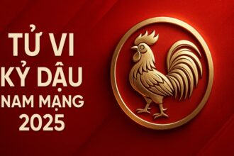 tử vi tuổi kỷ dậu 1969 nam mạng năm 2025 mở lối tài lộc – tránh tiểu nhân – phong thủy kích hoạt vận may