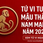 tử vi tuổi mậu thân 1968 nam mạng năm 2025 vận khí sinh tài – phong thủy giữ vận, hóa giải bệnh hạn