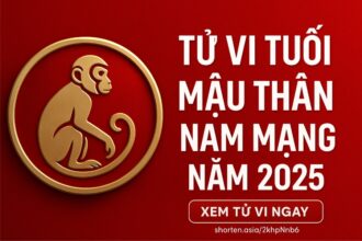 tử vi tuổi mậu thân 1968 nam mạng năm 2025 vận khí sinh tài – phong thủy giữ vận, hóa giải bệnh hạn