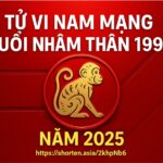 tử vi tuổi nhâm thân 1992 nam mạng năm 2025 hung tinh kế Đô giáng mệnh – phong thủy là bùa hộ thân vững vàng
