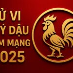 tử vi tuổi quý dậu 1993 nam mạng năm 2025 Áp lực nhiều mặt – cần phong thủy để giữ vững tinh thần & tài khí