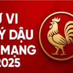 tử vi tuổi quý dậu 1993 nữ mạng năm 2025 năm chuyển hóa tâm lý – tài lộc mở ra từ bên trong