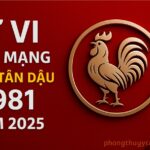 tử vi tuổi tân dậu 1981 nam mạng năm 202 biến động mạnh về tài lộc – cần phong thủy hỗ trợ để giữ vững vận thế