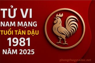 tử vi tuổi tân dậu 1981 nam mạng năm 202 biến động mạnh về tài lộc – cần phong thủy hỗ trợ để giữ vững vận thế